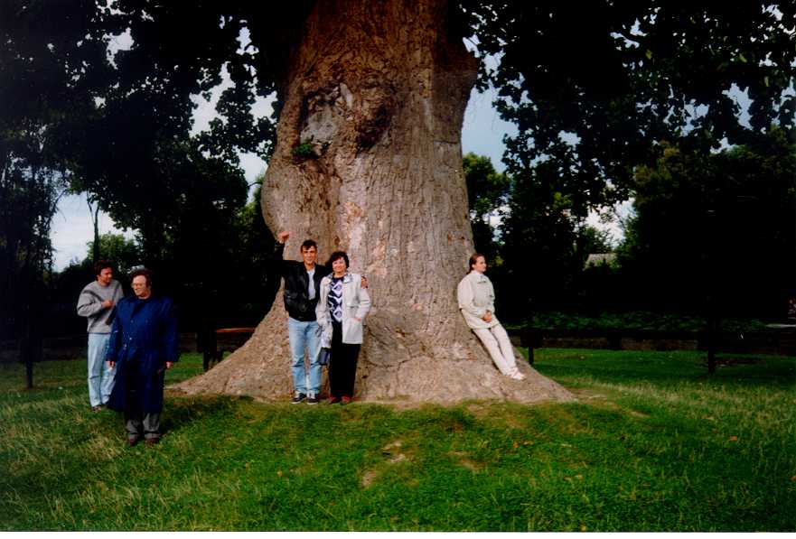 Image5.jpg (68514 bytes)