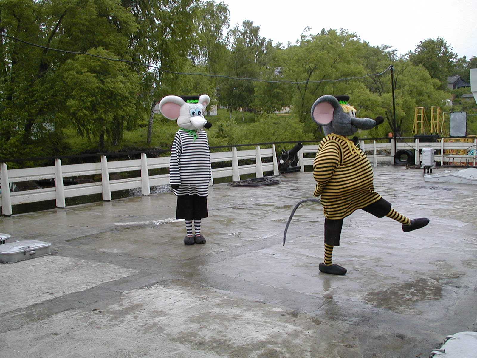 mysh01.jpg (233251 bytes)