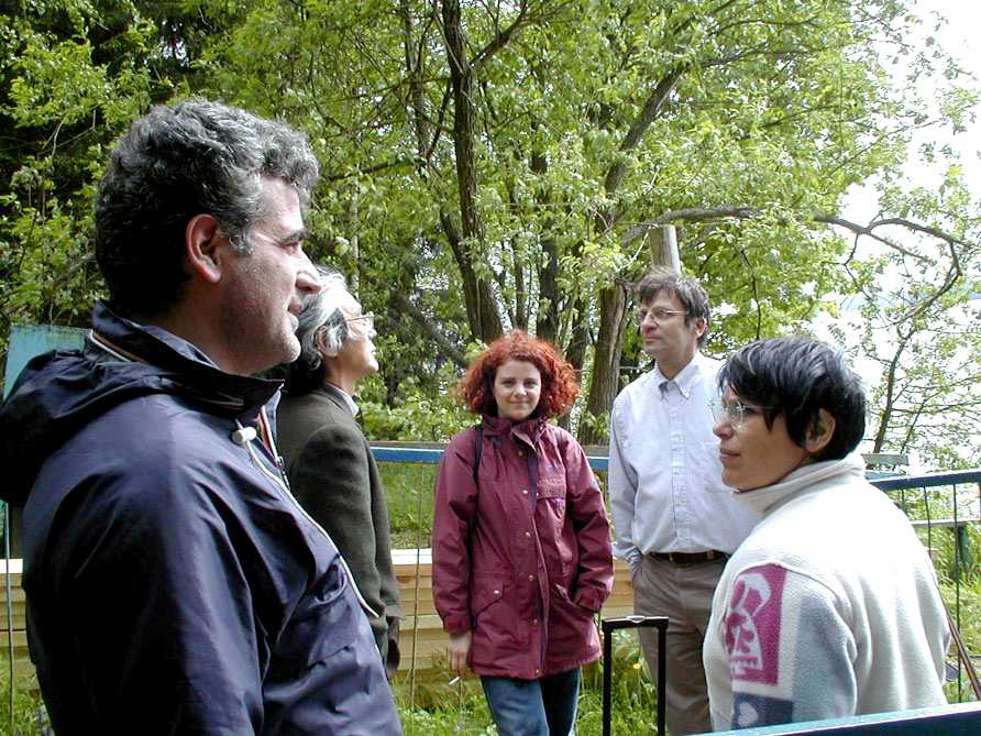 Gallo06.jpg (109525 bytes)