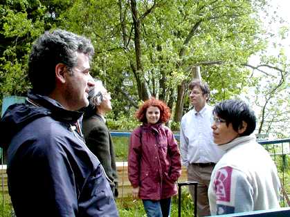 Gallo06a.jpg (29609 bytes)