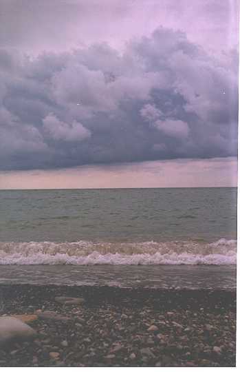 pro3.jpg (15207 bytes)