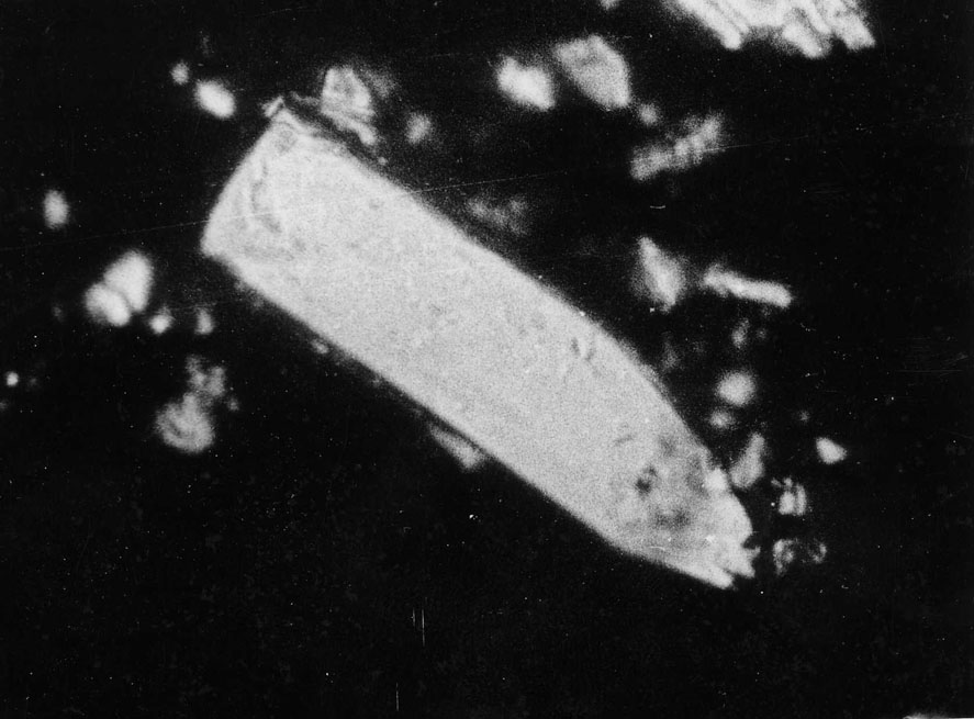 cristall1.jpg (87231 bytes)