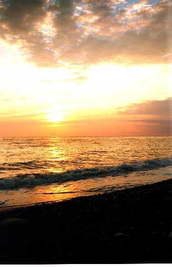 zb8.jpg (18183 bytes)