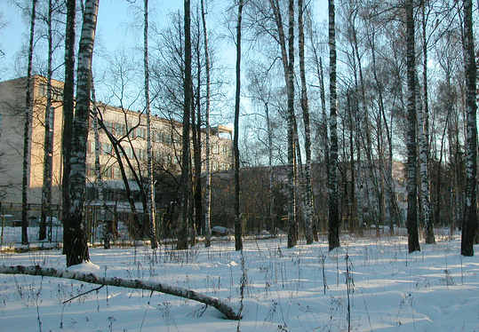 win2.jpg (38671 bytes)